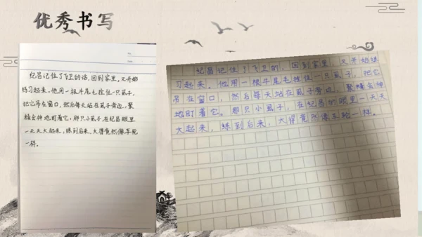 统编版语文四年级上册 第八单元 语文园地八     课件