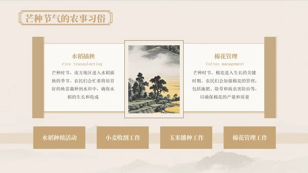 浅粉色中国风芒种节气的传统文化与习俗ppt模版