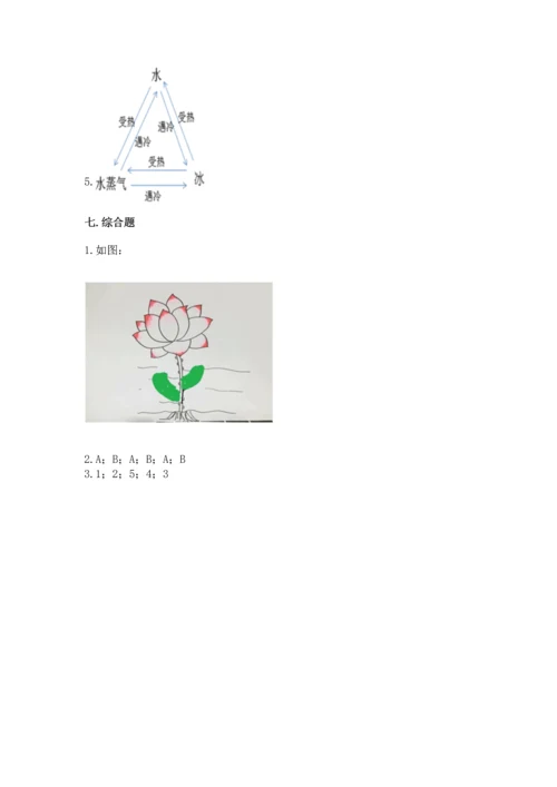 教科版一年级上册科学期末测试卷【考试直接用】.docx