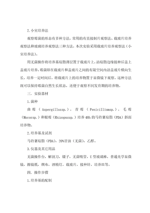 霉菌实验报告