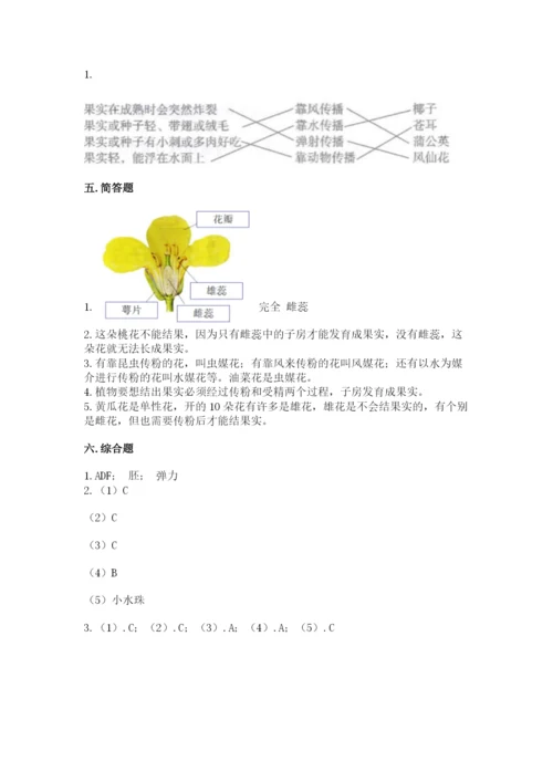 教科版四年级下册科学第一单元《植物的生长变化》测试卷精品【夺冠系列】.docx