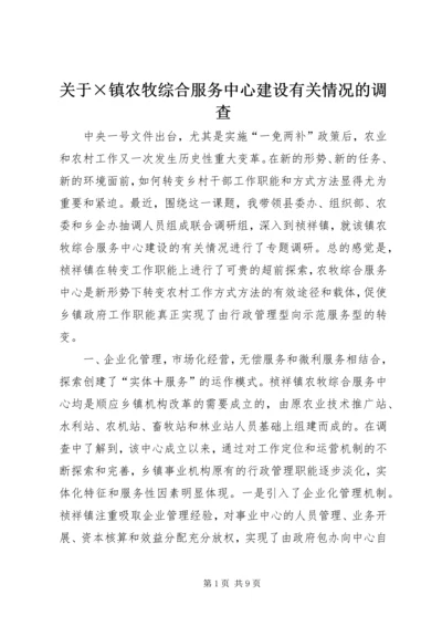 关于×镇农牧综合服务中心建设有关情况的调查.docx