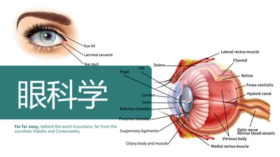 医疗眼科学动态PPT
