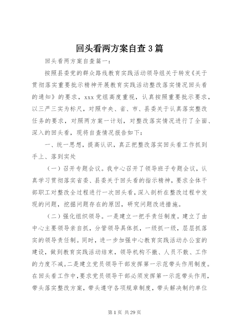 回头看两方案自查3篇.docx