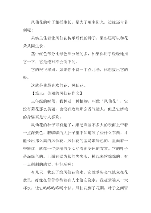 美丽的凤仙花作文200字.docx