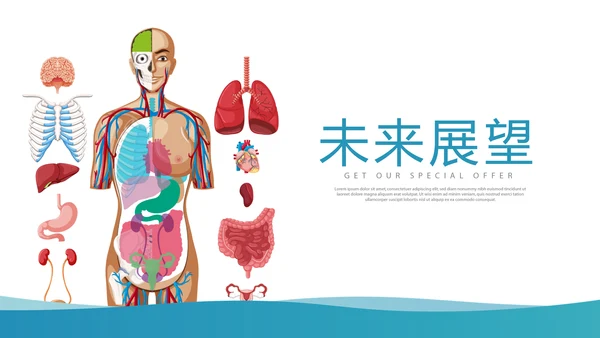 医疗医学人体结构动态PPT
