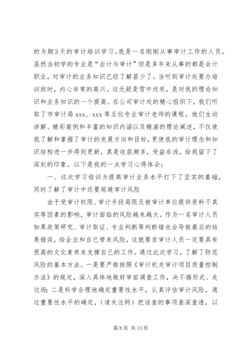 学习审计先进人员事迹心得体会(精选多篇).docx