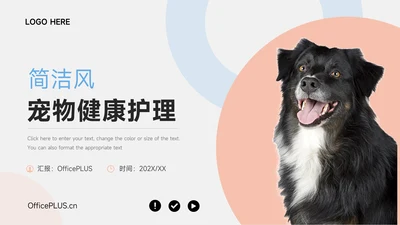 红蓝简洁双色宠物健康护理PPT模板