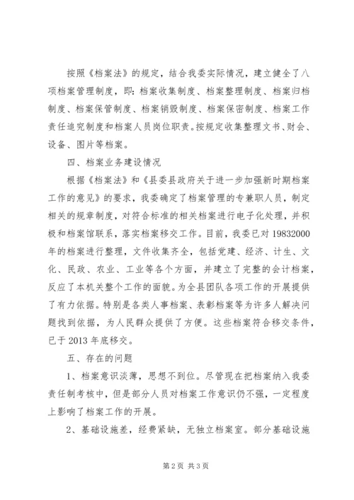 团县委档案管理自查报告.docx