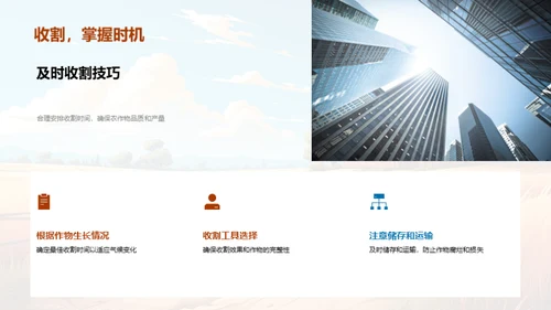 寒露农事指南
