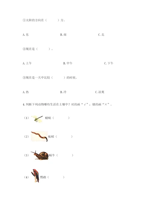 教科版二年级上册科学期末考试试卷附参考答案【夺分金卷】.docx