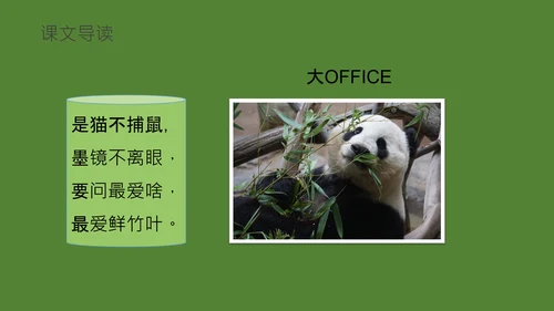 国宝大熊猫语文课教学课件通用PPT模板
