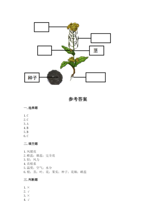 科学四年级下册第一单元《植物的生长变化》测试卷及答案1套.docx