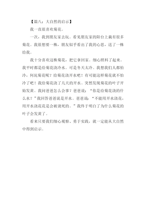 什么的启示作文300字.docx