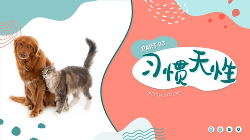 宠物店猫狗饲养心得经验分享通用PPT模板