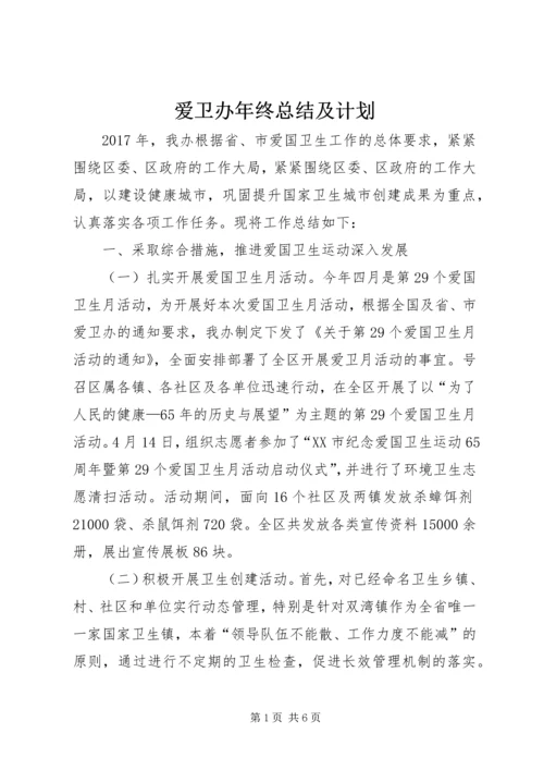 爱卫办年终总结及计划.docx