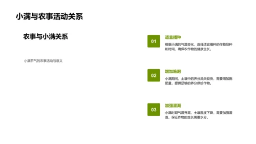 小满节气与农业实践PPT模板