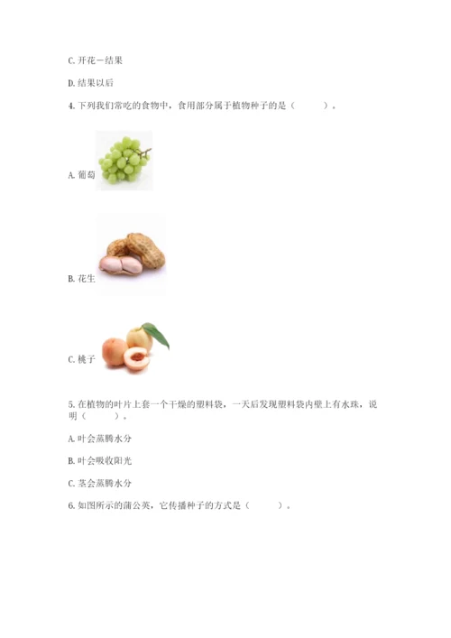 科学四年级下册第一单元《植物的生长变化》测试卷精品【名师推荐】.docx