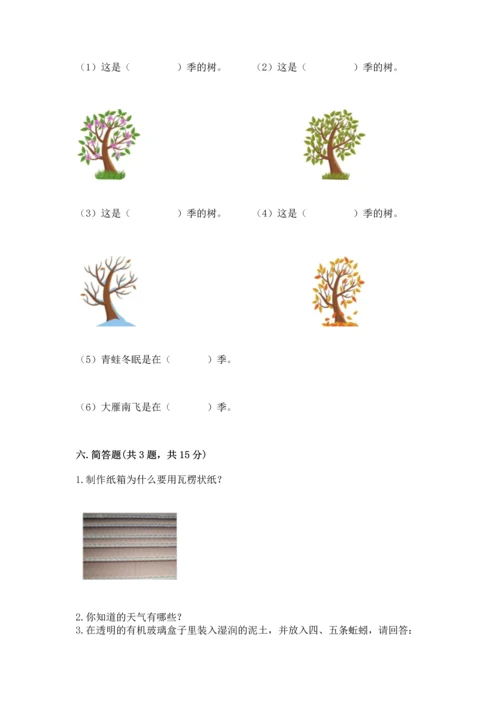 教科版二年级上册科学期末测试卷（实验班）.docx