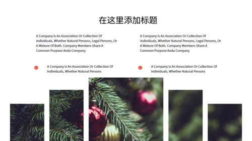 高端奢华风圣诞节商业活动策划通用PPT模板