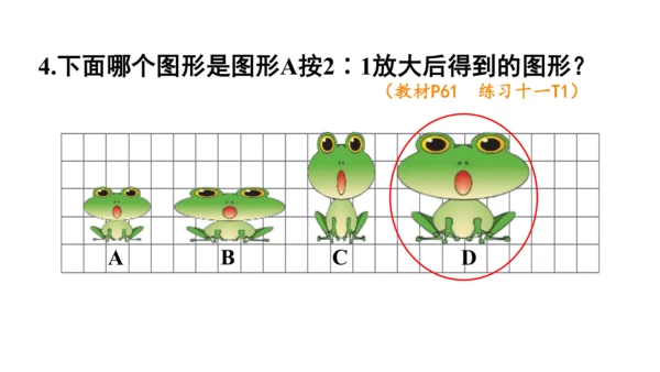 2024（大单元教学）人教版数学六年级下册4.8  图形的放大与缩小课件（共21张PPT)