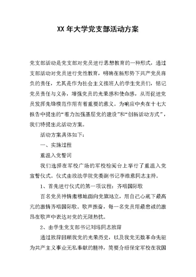 XX年大学党支部活动方案