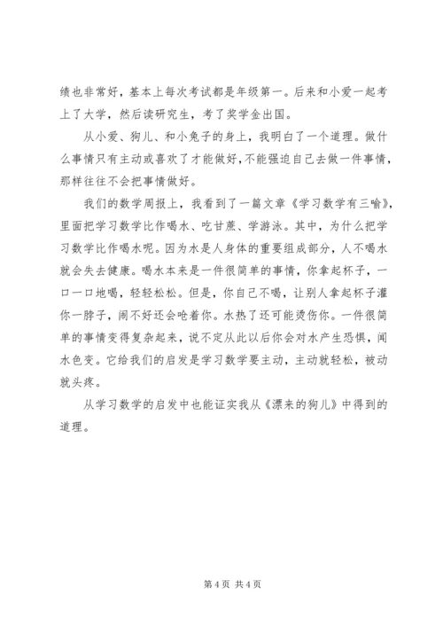 漂来的狗儿读后感.docx