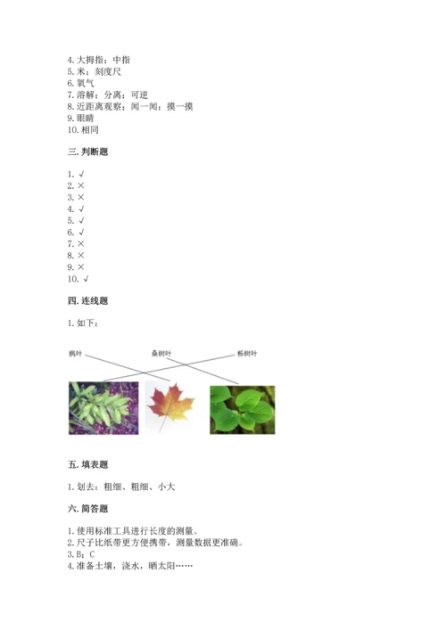 教科版科学一年级上册期末测试卷精华版.docx