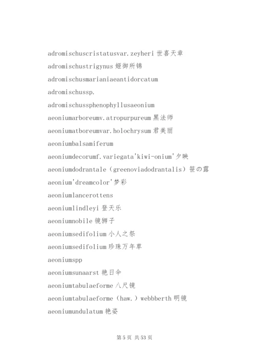 多肉公司建立方案.docx