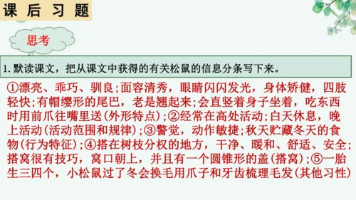第17课《松鼠》课件