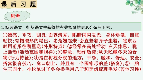 第17课《松鼠》课件