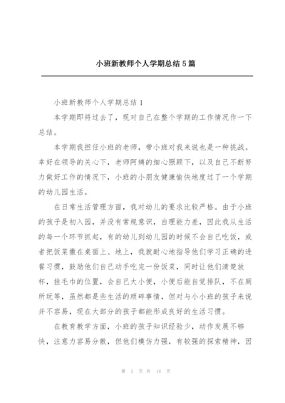 小班新教师个人学期总结5篇.docx