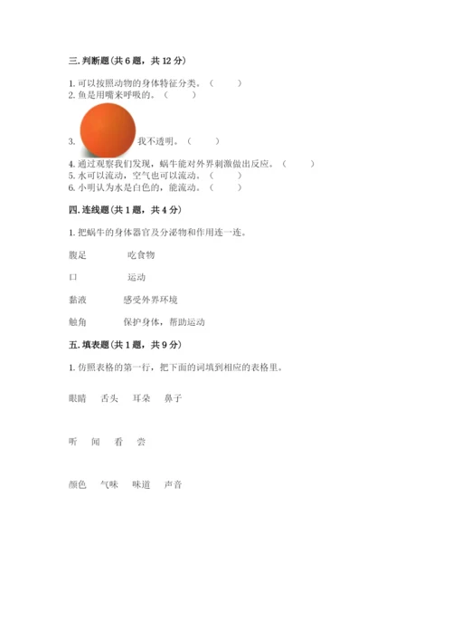 教科版一年级下册科学期末测试卷含答案【培优b卷】.docx