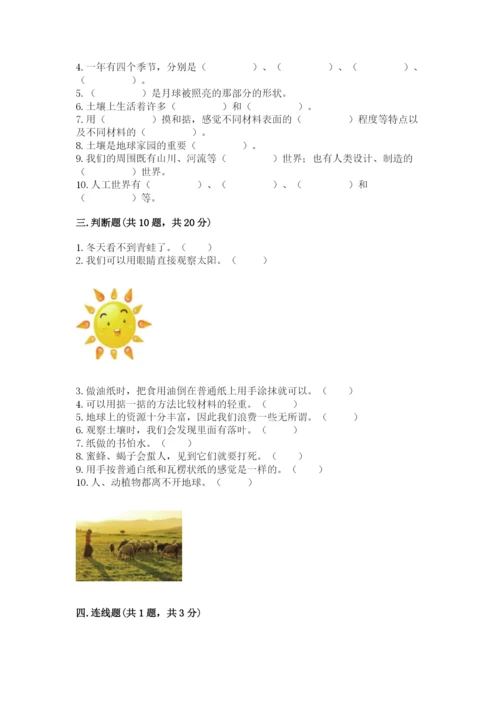 教科版二年级上册科学期末测试卷精品含答案.docx