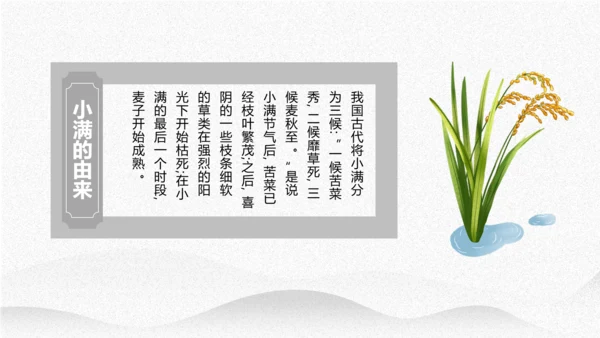 小满节气介绍PPT模板