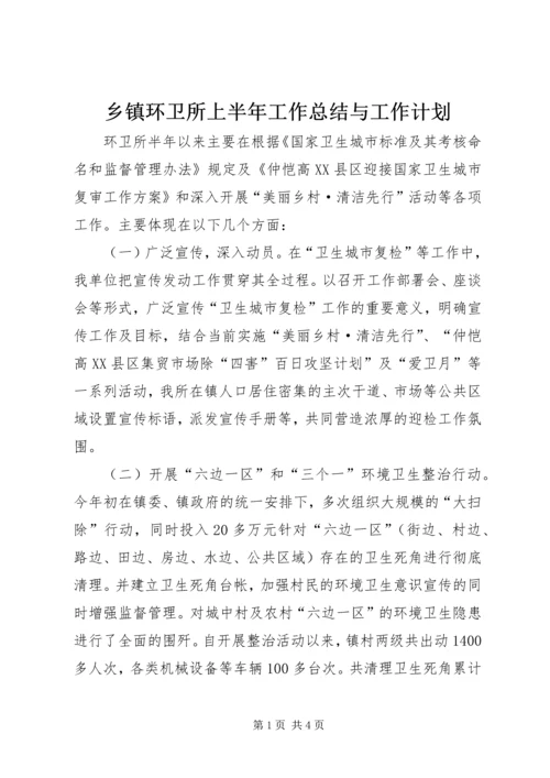 乡镇环卫所上半年工作总结与工作计划.docx