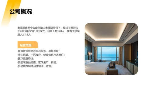 黄色简约风商业计划书PPT套装
