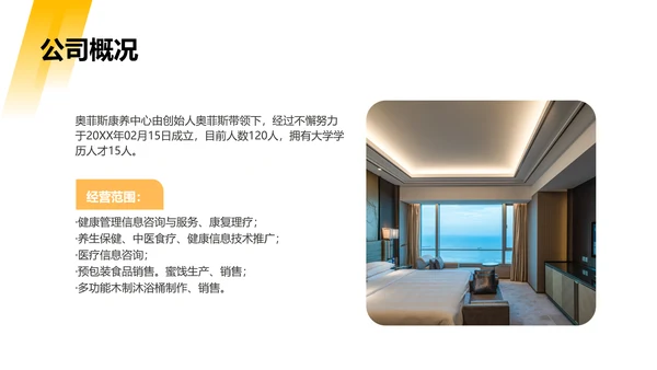 黄色简约风商业计划书PPT套装