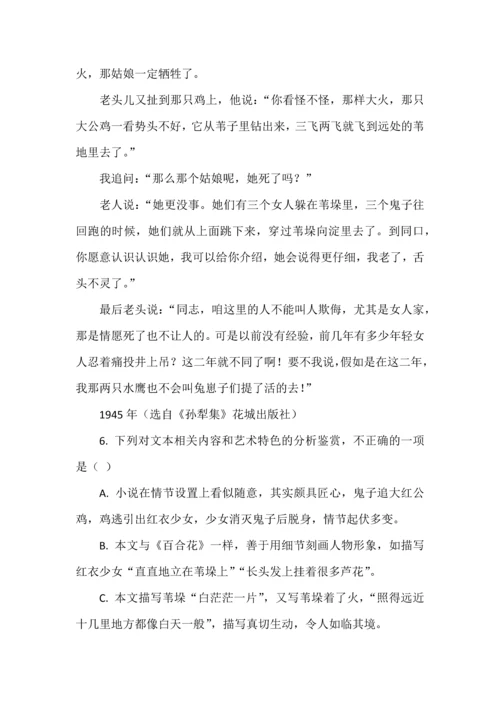 高考语文一轮复习精品之散文化小说阅读试题精选.docx