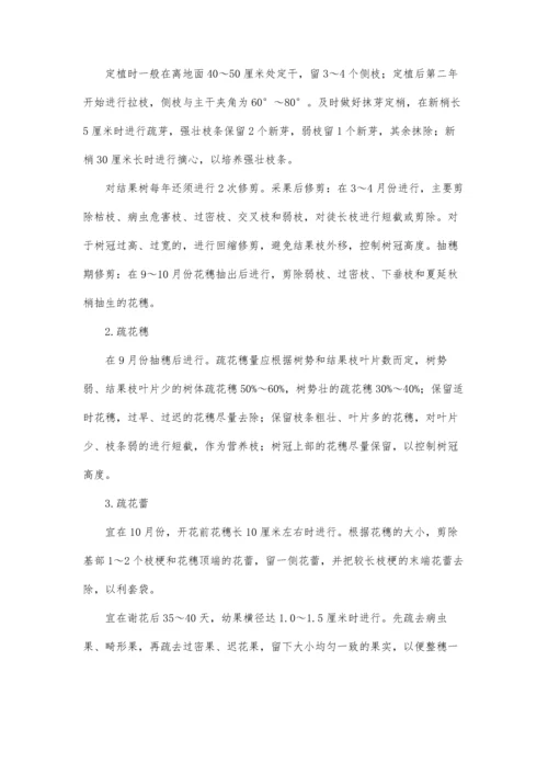 枇杷无公害优质高产栽培技术.docx