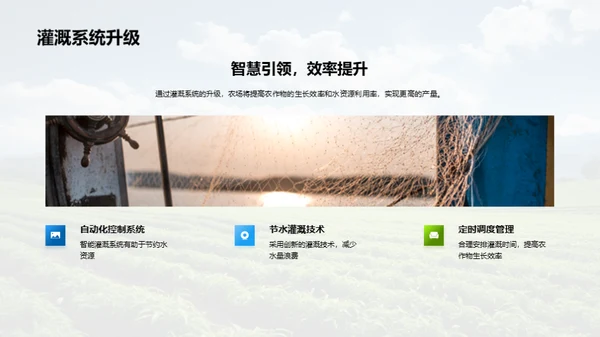 种植之道，成果之光