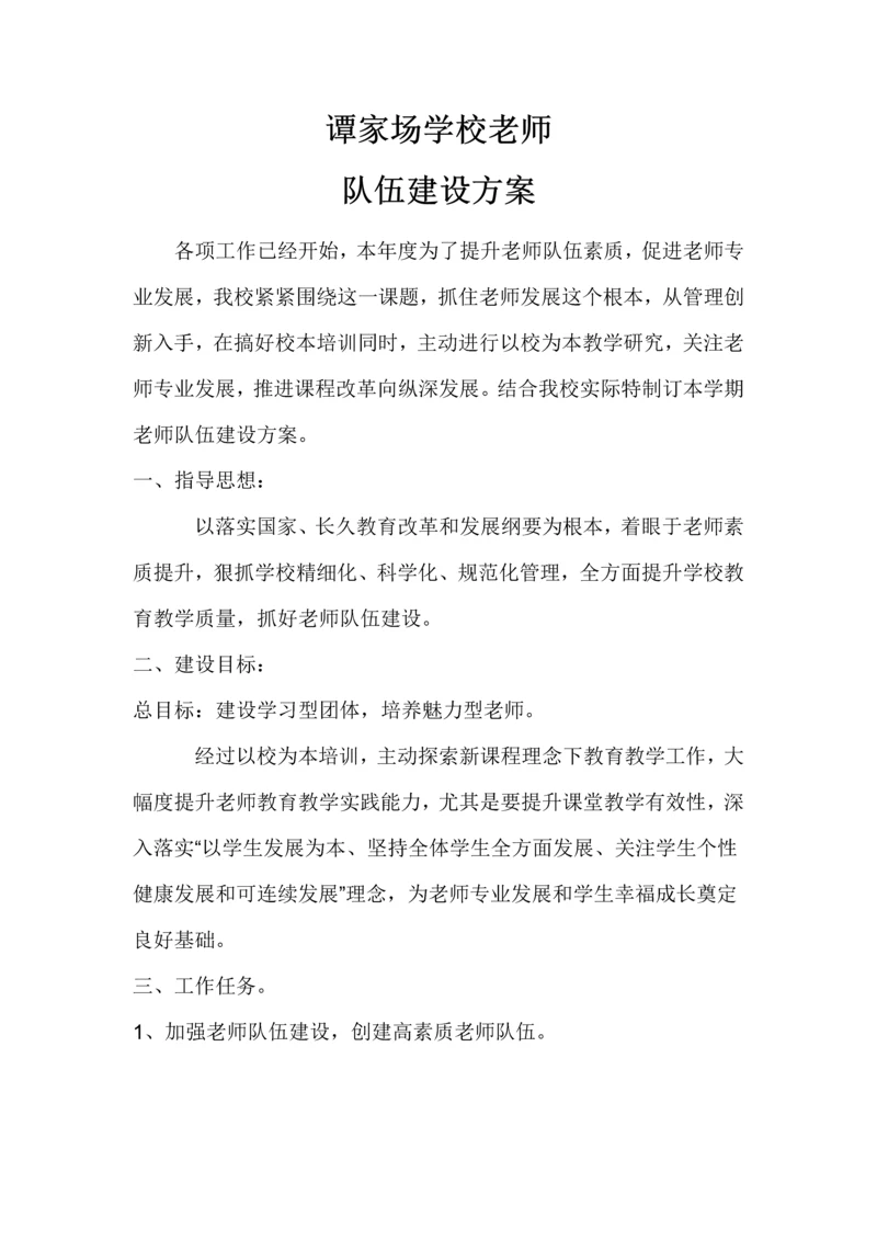 教师队伍科学建设专业方案.docx