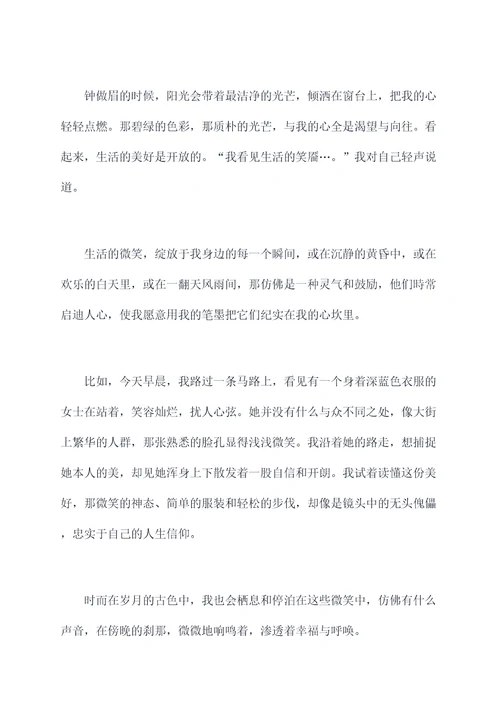 我看见生活的笑靥提纲