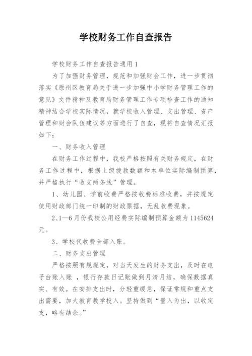 学校财务工作自查报告_5.docx