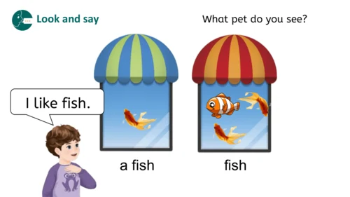 Unit 3 Amazing animals Part A Let's learn（优课）课件（19