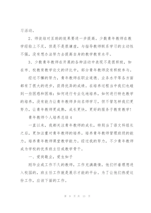 青年教师个人培养总结5篇.docx