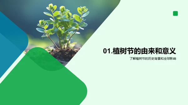 植树行动与地球未来