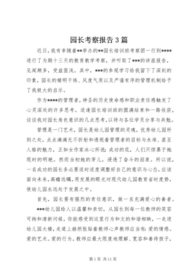 园长考察报告3篇.docx