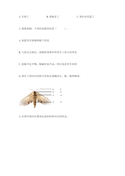 教科版三年级下册科学期末测试卷带答案（培优b卷）.docx