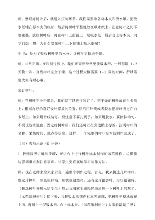 自制树叶标本 教学设计--人教版劳动四上